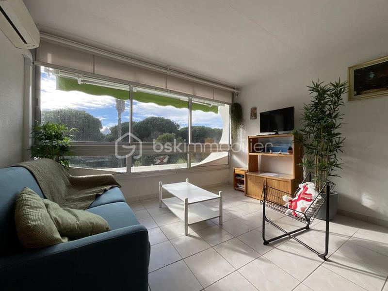 Studio - 24 m² - 1 pièce