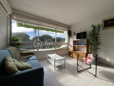 Studio - 24 m² - 1 pièce