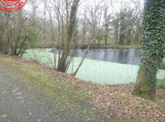 Propriété - 451 m² - 29 pièces