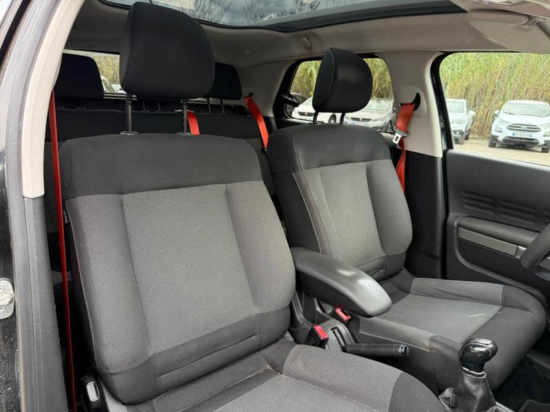 Citroën C4 Cactus BlueHDi 100 Rip Curl