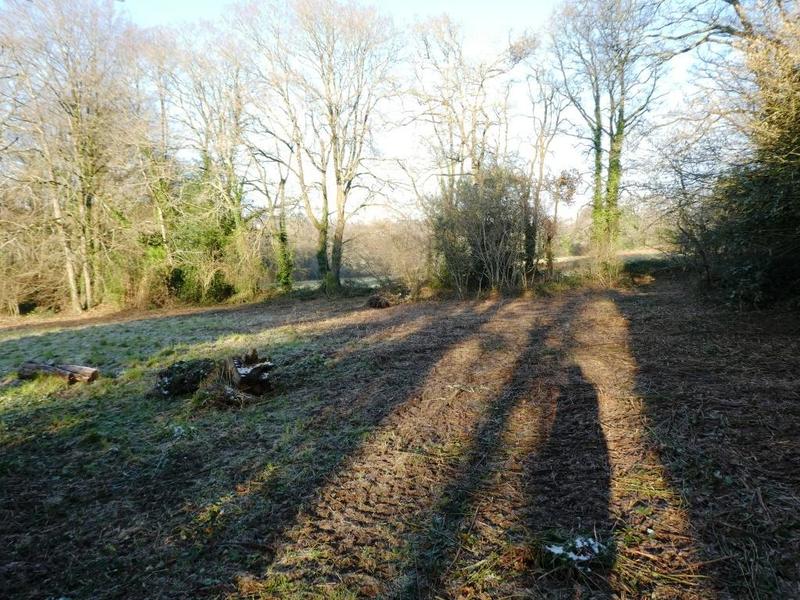 Maison de campagne - 70 m² - 3 pièces