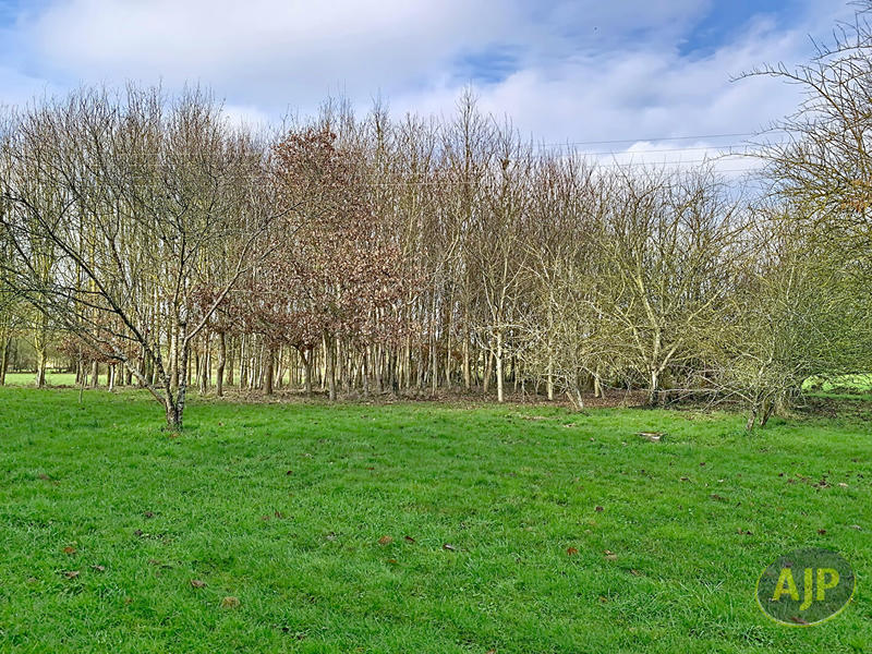 Maison - 230 m² - 6 pièces