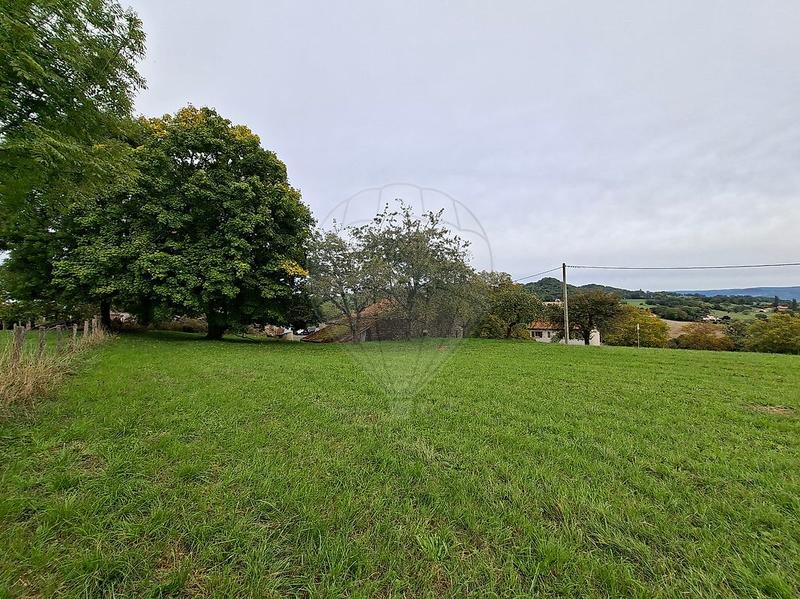 Terrain - 950 m²