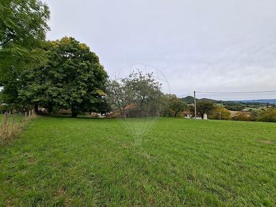 Terrain - 950 m²