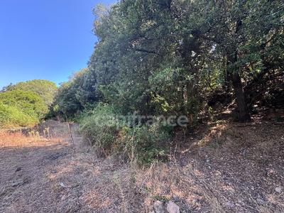 Terrain constructible - 3 380 m²