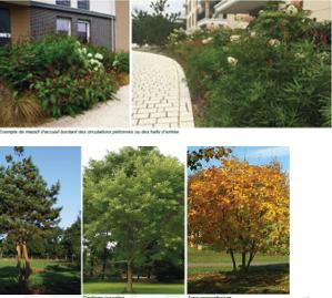 Appartement - 79 m² - 4 pièces