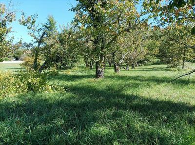 Terrain constructible - 1 628 m²