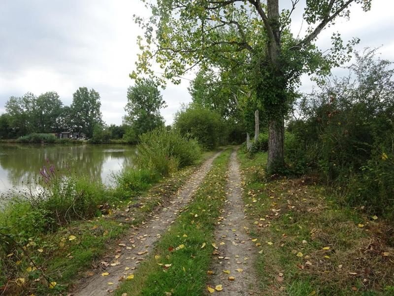 Propriété - 110 m² - 7 pièces