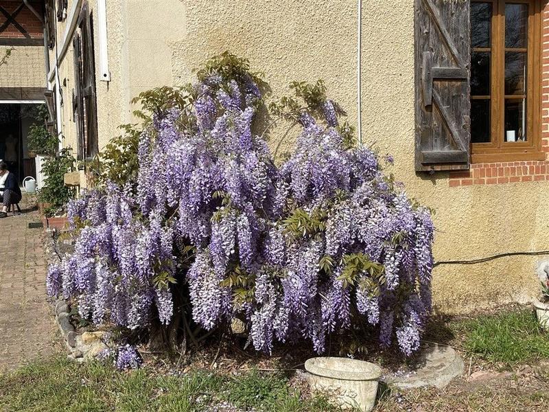 Ferme - 205 m² - 7 pièces