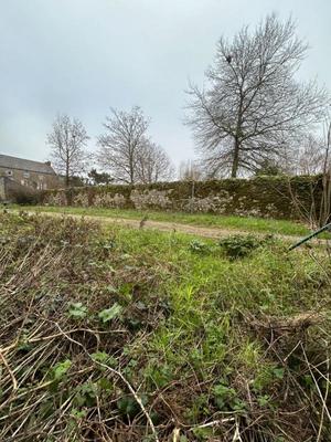 Terrain constructible - 446 m²