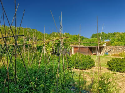 Terrain de loisirs - 430 m²