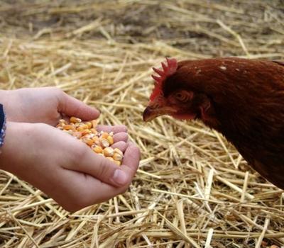 Ferme de la Chambrerie