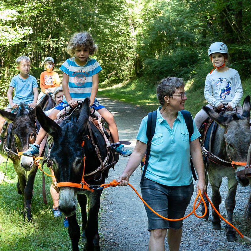 Été actif - balade avec un âne
