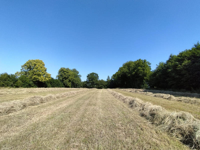 Maison - 260 m² - 10 pièces