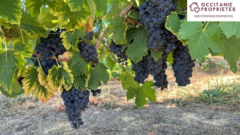 Demeure - 224 m² - 7 pièces