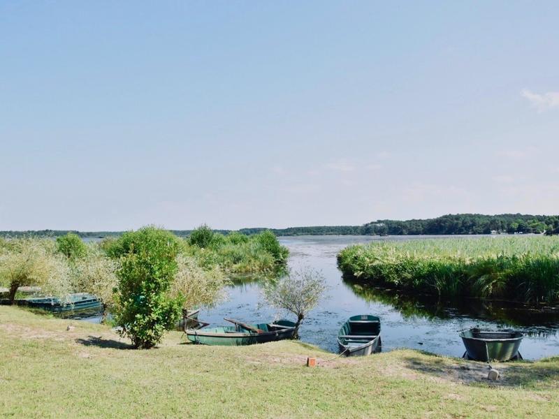 Découverte de l'étang blanc en barque dans l'univers des pêcheurs et chasseurs