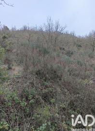 Terrain - 65 360 m²