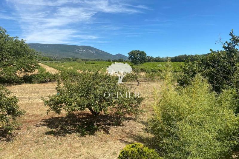 Propriété - 270 m² - 7 pièces