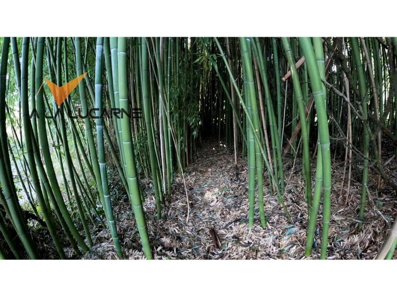 Maison - 114 m² - 4 pièces