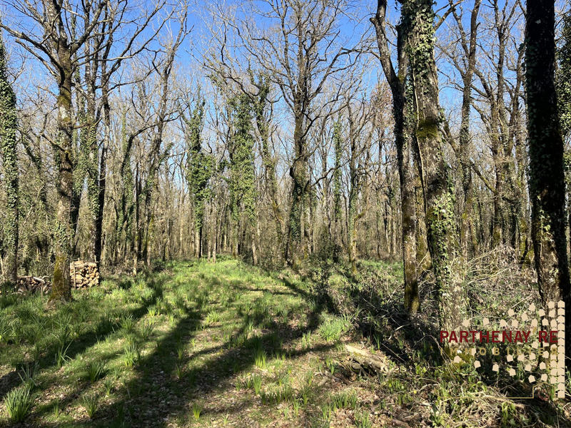 Maison - 99 m² - 6 pièces