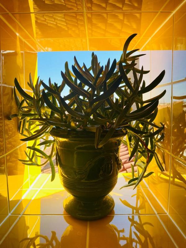 Appartement ancien - 90 m² - 3 pièces