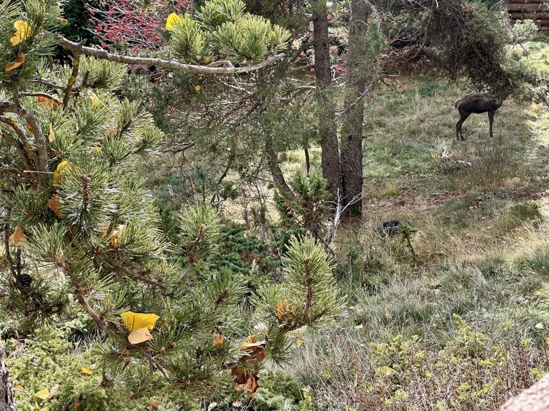 Terrain constructible - 1 572 m²