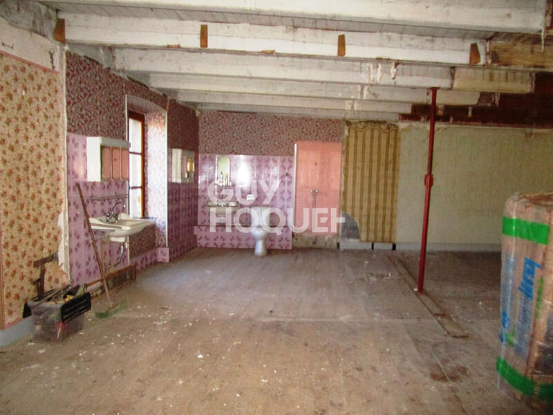 Maison - 250 m² - 3 pièces