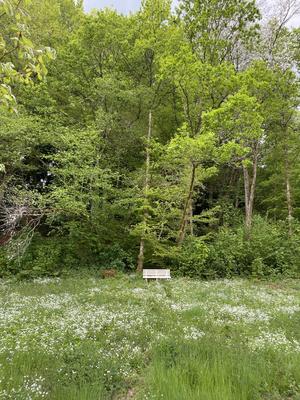 Maison ancienne - 125 m² - 6 pièces