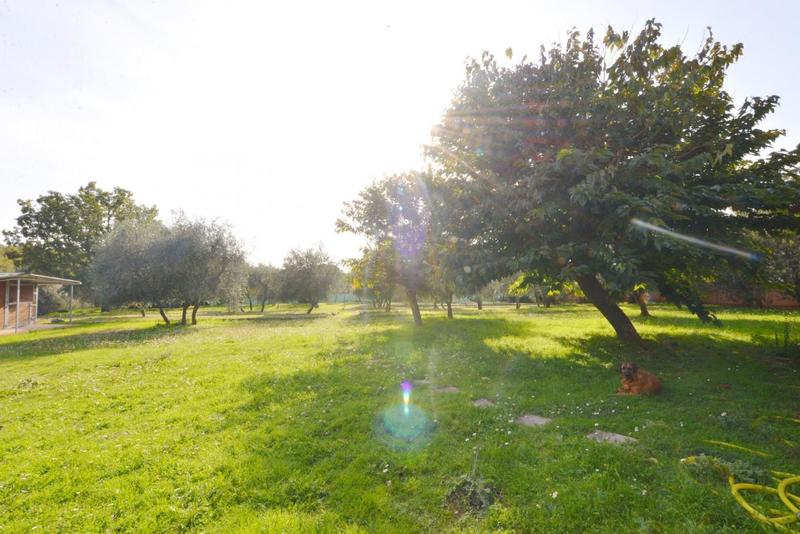 Maison - 284 m² - 7 pièces