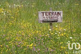 Terrain - 211 475 m²