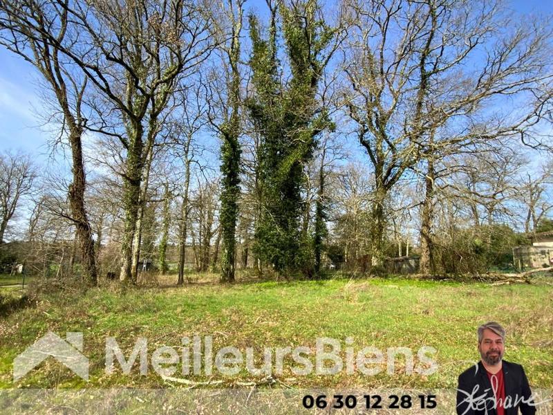 Terrain constructible - 2 100 m²