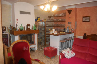 Mas - 250 m² - 9 pièces