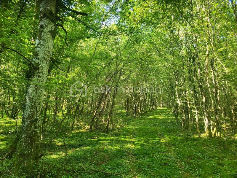 Terrain agricole - 107 573 m²