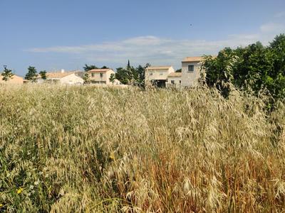 Terrain constructible - 187 m²