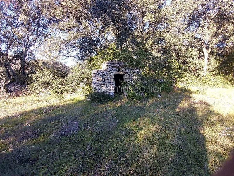 Terrain de loisirs - 5 910 m²