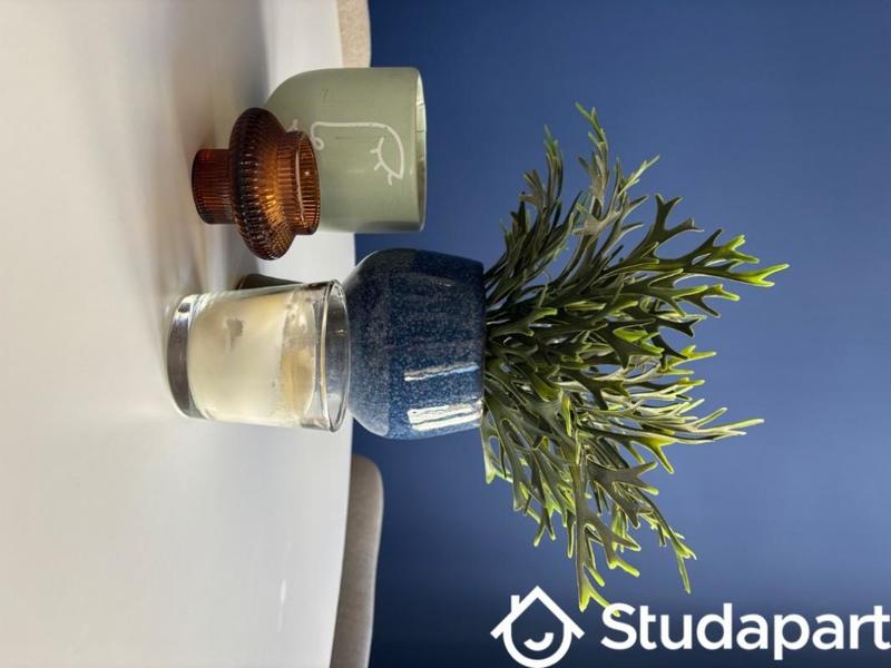 Appartement - 35 m² - 2 pièces