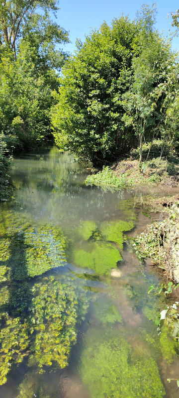 Maison de campagne - 136 m² - 6 pièces