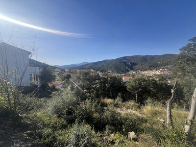 Terrain - 445 m²
