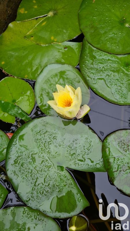 Maison - 145 m² - 7 pièces