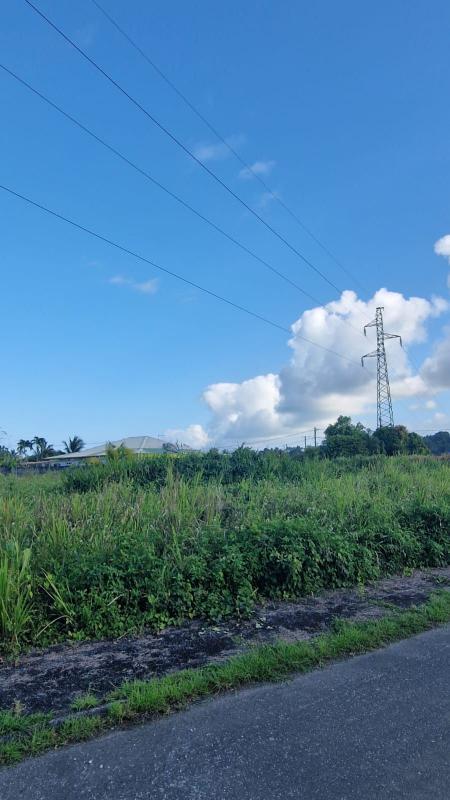 Terrain constructible - 800 m²