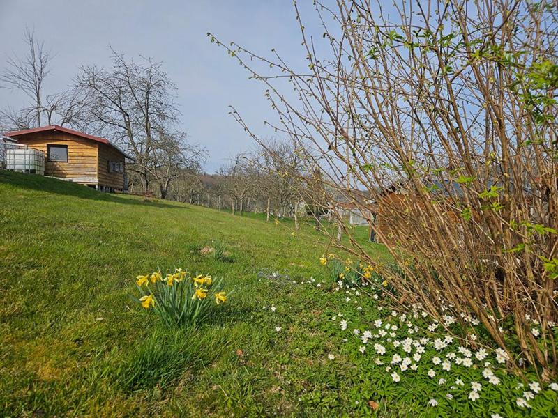 Maison - 42 m² - 3 pièces