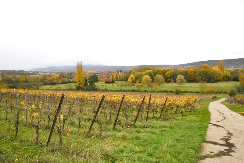 Terrain constructible - 582 m²