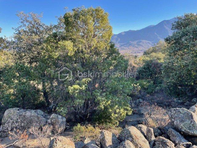 Terrain agricole - 5 665 m²