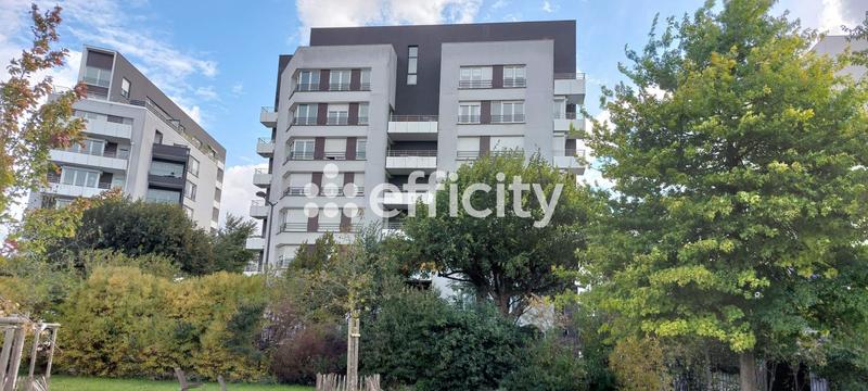 Appartement - 50 m² - 2 pièces