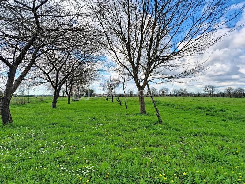 Maison - 76 m² - 5 pièces