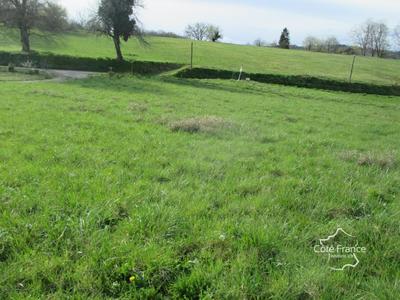 Terrain constructible - 3 000 m²