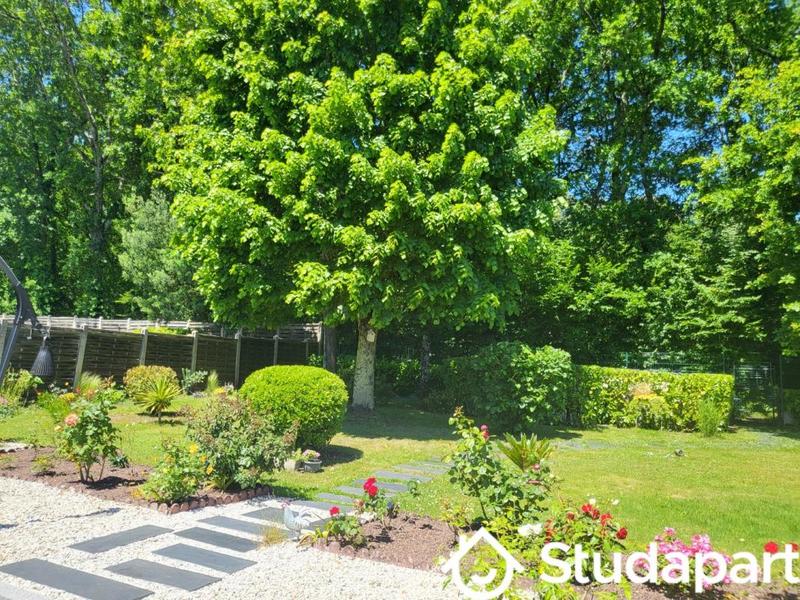 Chambre - 15 m² - 1 pièce