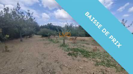 Ferme - 128 m² - 4 pièces