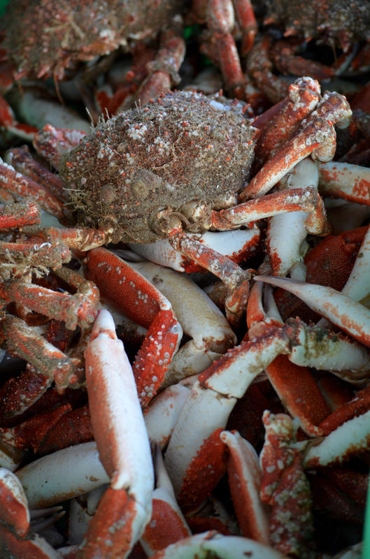Marché aux poissons