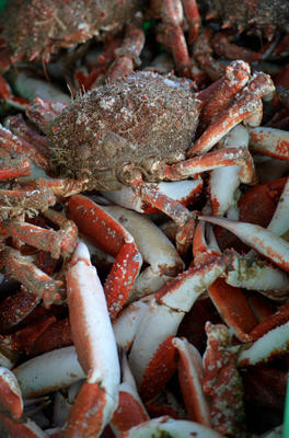 Marché aux poissons
